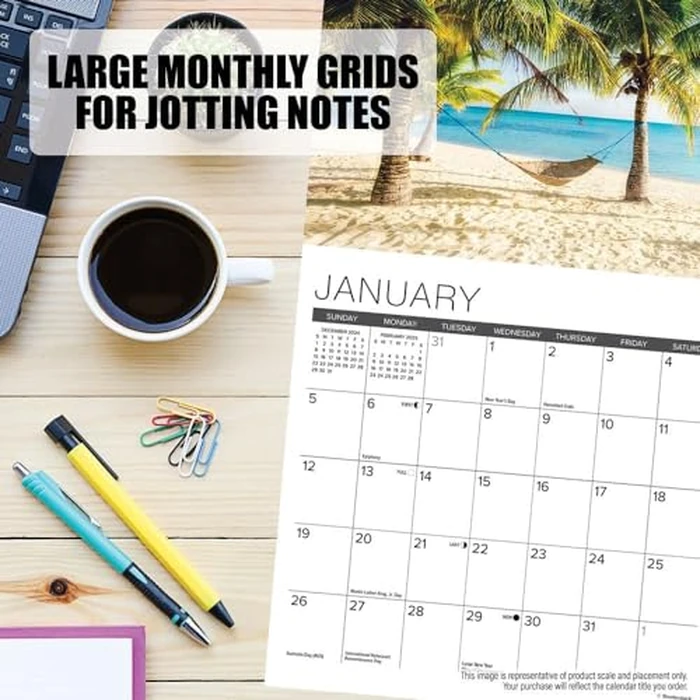 Just Black Cats 2025 7" x 7" Mini Wall Calendar by WILLOW CREEK - Image 4