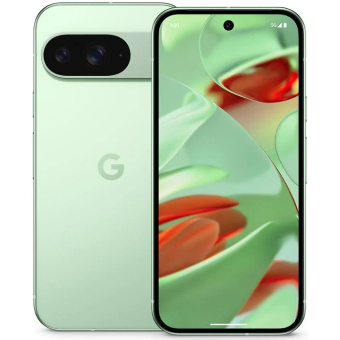 Google Pixel 9 - 128GB - Wintergreen by Google - Refurbished - Good condition - CA$505.97