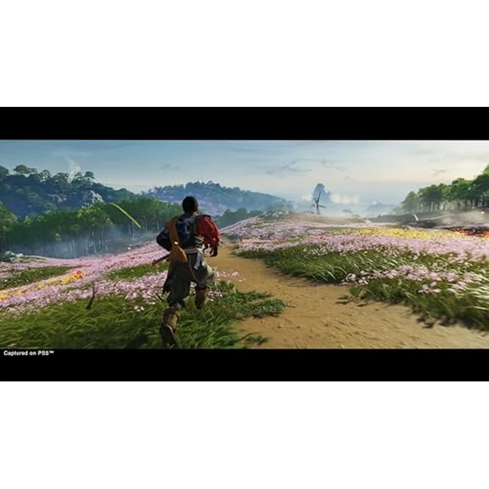 PlayStation, Ghost Of Tsushima Director's Cut (PS5) by PlayStation - Image 9
