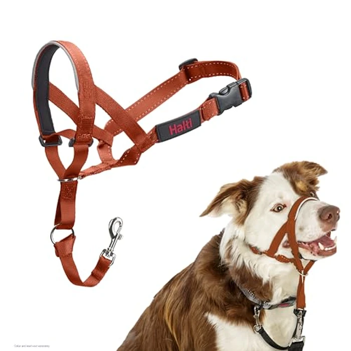 Halti Headcollar - Stop Your Dog Pulling on The Leash. Adjustable, Reflective and Lightweight, with Padded Nose Band. Dog Training Anti-Pull Collar for Medium Dogs (Size 2, Burnt Orange) by Halti - Image 1