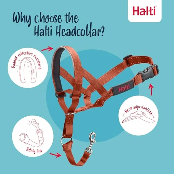 Halti Headcollar - Stop Your Dog Pulling on The Leash. Adjustable, Reflective and Lightweight, with Padded Nose Band. Dog Training Anti-Pull Collar for Medium Dogs (Size 2, Burnt Orange) by Halti - Image 3