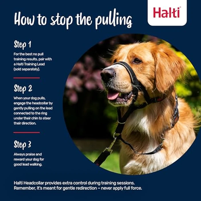 Halti Headcollar - Stop Your Dog Pulling on The Leash. Adjustable, Reflective and Lightweight, with Padded Nose Band. Dog Training Anti-Pull Collar for Medium Dogs (Size 2, Burnt Orange) by Halti - Image 4