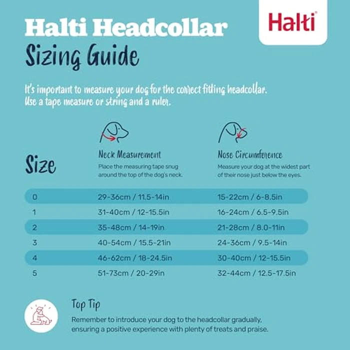 Halti Headcollar - Stop Your Dog Pulling on The Leash. Adjustable, Reflective and Lightweight, with Padded Nose Band. Dog Training Anti-Pull Collar for Medium Dogs (Size 2, Burnt Orange) by Halti - Image 5