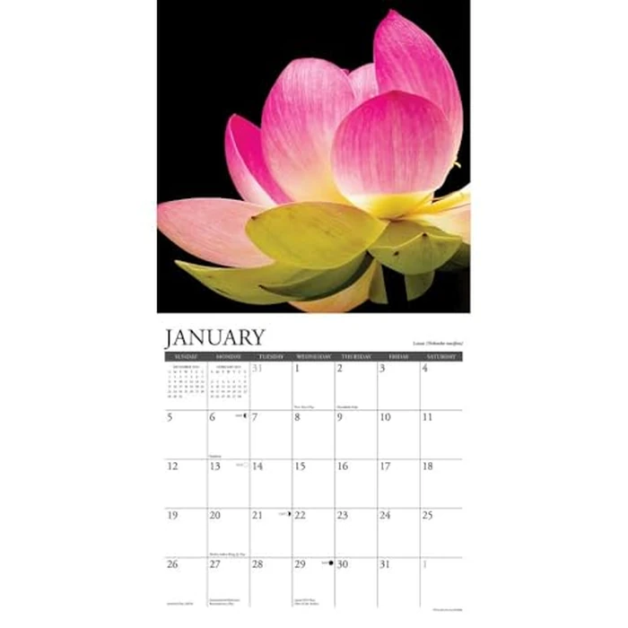 Flowers 2025 12" x 12" Wall Calendar by WILLOW CREEK - Image 4