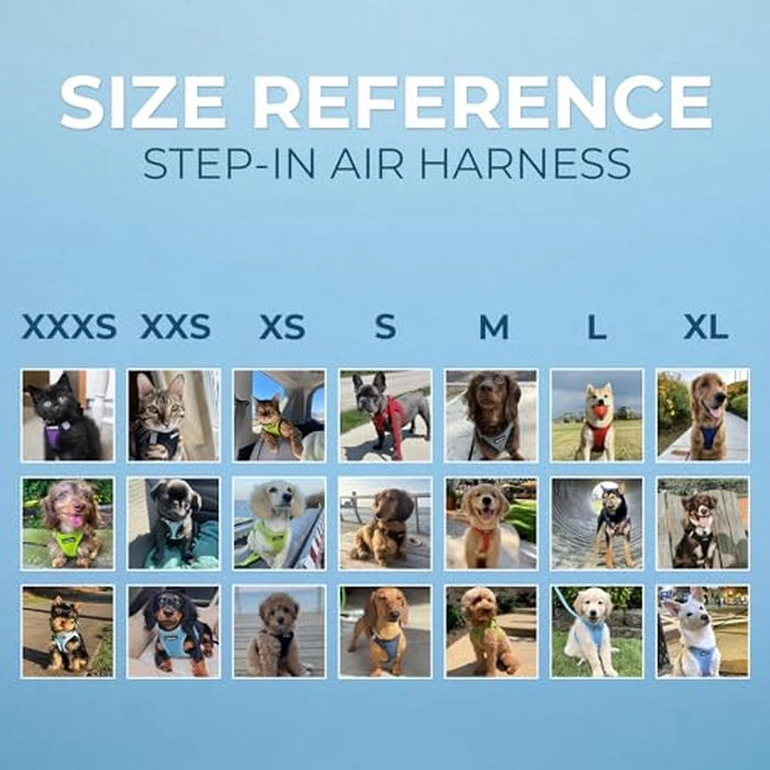 Best Pet Supplies Voyager Step-in Air Harness - All Weather Mesh, Reflective, No Pull Harness for Dogs, Cats - Secure with Hook & Loop Fastener, Buckle, Double D-Rings - Blue/Black Trim, L by Best Pet Supplies - Image 6