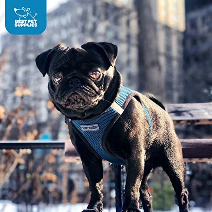 Best Pet Supplies Voyager Step-in Air Harness - All Weather Mesh, Reflective, No Pull Harness for Dogs, Cats - Secure with Hook & Loop Fastener, Buckle, Double D-Rings - Blue/Black Trim, L by Best Pet Supplies - Image 9