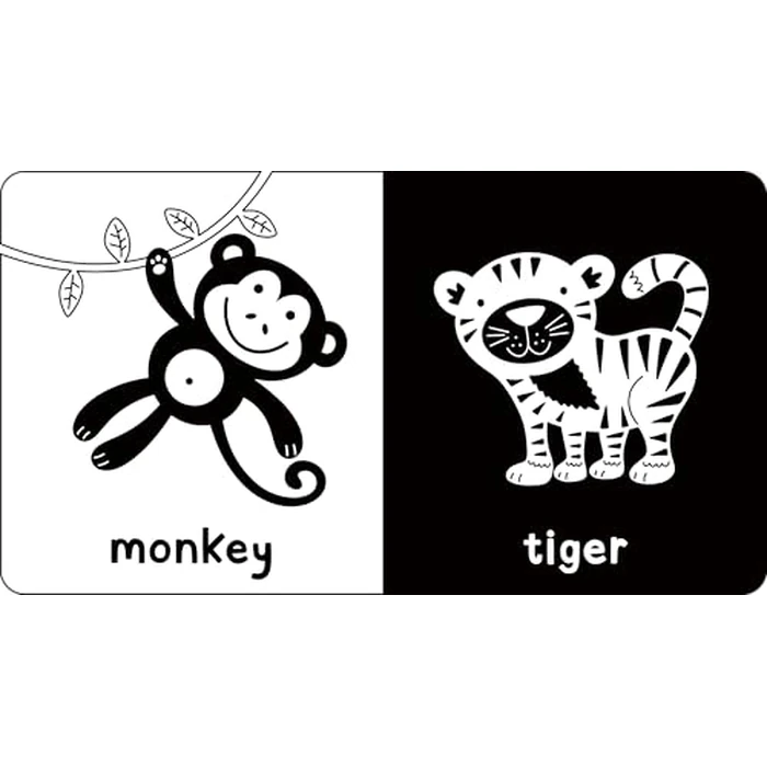 My Little Black and White Board Book Library - Set of 5 High Contrast Board Books (What Does Baby See?) by PETER PAUPER PRESS - Image 7