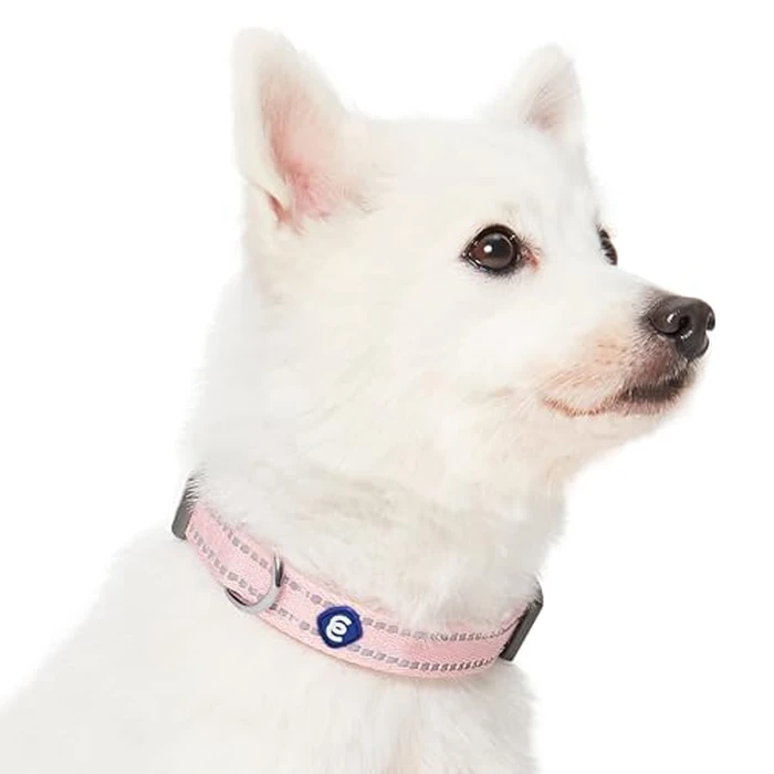 Blueberry Pet Essentials Reflective Dog Collar & Leash Set, Adjustable for Medium Dogs | Safe Walking Gear for Pet Parents, Puppy Training & Daily Use MediumDogs, Baby Pink by Blueberry Pet - Image 5
