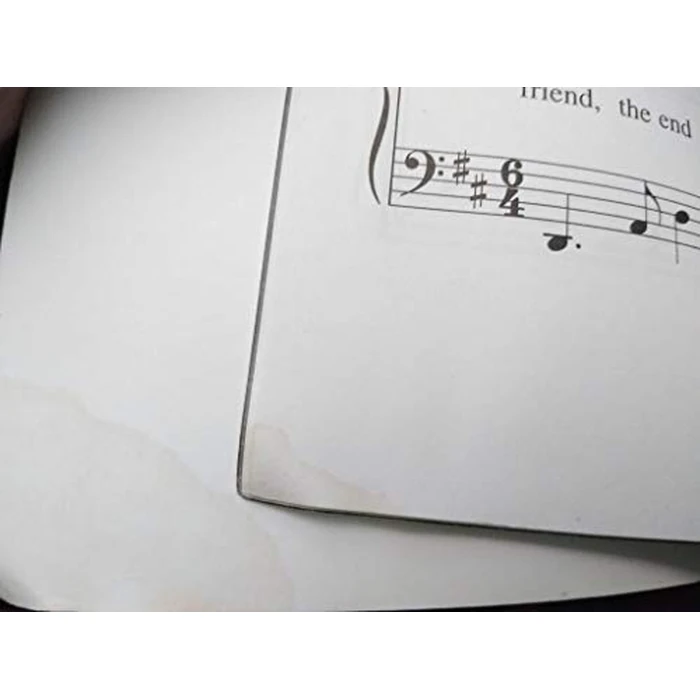 The Doors - Easy Piano (Easy Piano (Hal Leonard)) by Hal Leonard - Image 2