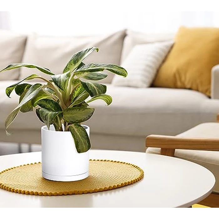 D'vine Dev 2 Pack 6 Inch Modern Plastic Plant Pots, Small Garden Planters for Plant with Drainage Holes and Saucers, White Color, 74-Z-J-1 by D'vine Dev - Image 3