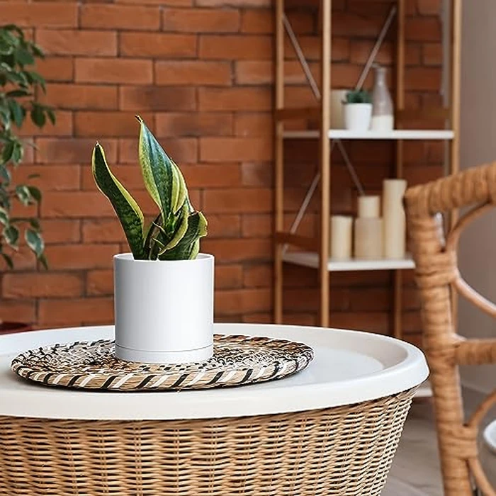 D'vine Dev 2 Pack 6 Inch Modern Plastic Plant Pots, Small Garden Planters for Plant with Drainage Holes and Saucers, White Color, 74-Z-J-1 by D'vine Dev - Image 5