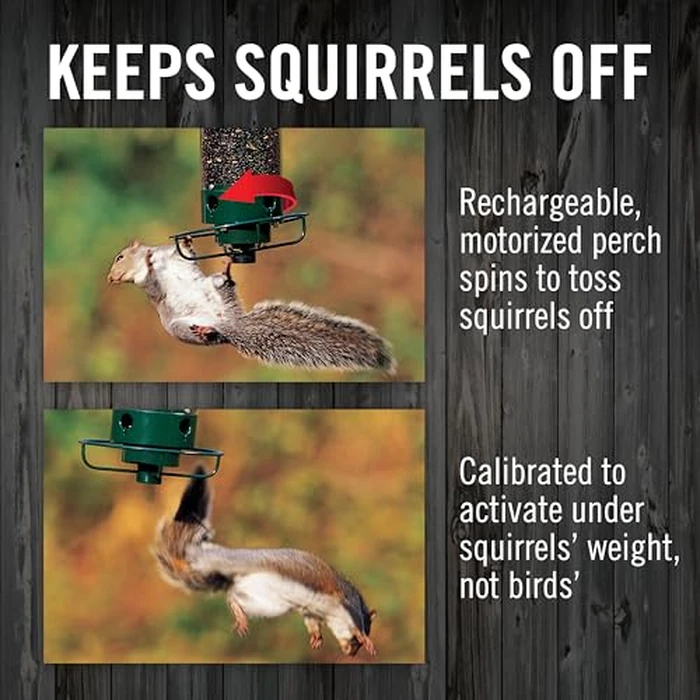 Droll Yankees Squirrel Proof Bird Feeder for Outdoors - Rechargeable Weight-Activated Rotating Perch, 5lb Seed Capacity, Metal Base, UV-Stabilized Seed Tube, Hanging Green Yankee Flipper, YF-M by Droll Yankees - Image 5