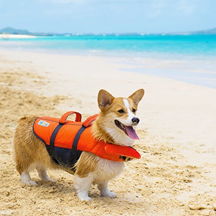 Outward Hound Granby Splash Orange Dog Life Jacket, XS by Outward Hound - Image 9