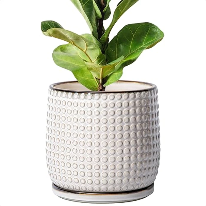 D'vine Dev 8 Inch Ceramic Beaded Stoneware Planter Pot - Flower Pot with Drainage Holes and Saucers for Indoor Succulent Plants or Flowers, Smoked White, 27-C-Q-1 by D'vine Dev - Used - Good condition - US$40.19