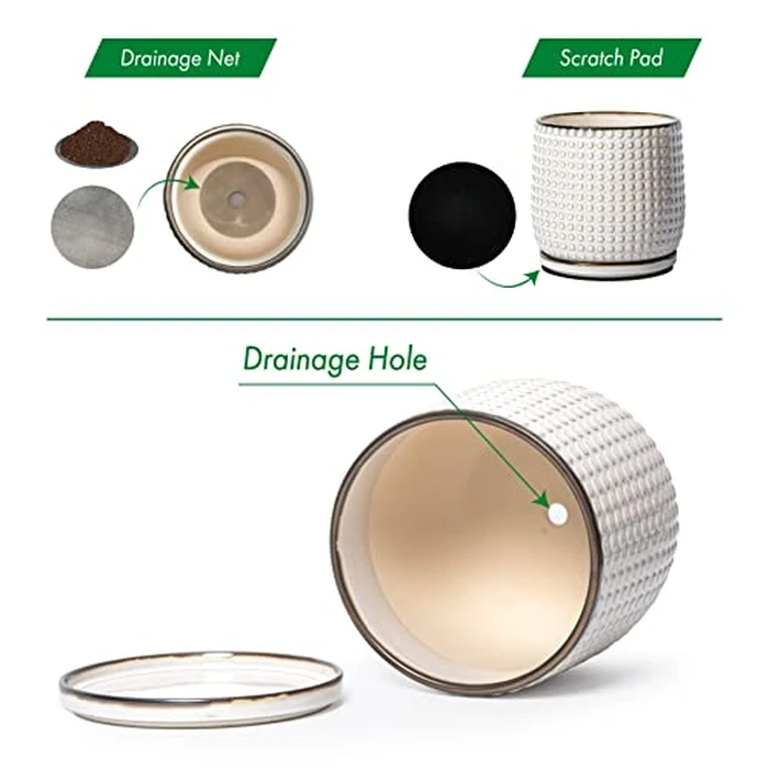 D'vine Dev 8 Inch Ceramic Beaded Stoneware Planter Pot - Flower Pot with Drainage Holes and Saucers for Indoor Succulent Plants or Flowers, Smoked White, 27-C-Q-1 by D'vine Dev - Image 4