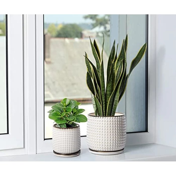 D'vine Dev 8 Inch Ceramic Beaded Stoneware Planter Pot - Flower Pot with Drainage Holes and Saucers for Indoor Succulent Plants or Flowers, Smoked White, 27-C-Q-1 by D'vine Dev - Image 7