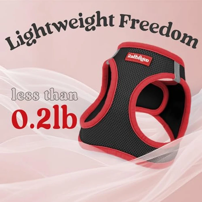 rabbitgoo Dog Harness Small Sized and Leash Set, Step-in Breathable Pet Harness, Soft Walking Reflective Puppy Vest for Small Dogs, Black & Red, M by rabbitgoo - Image 6