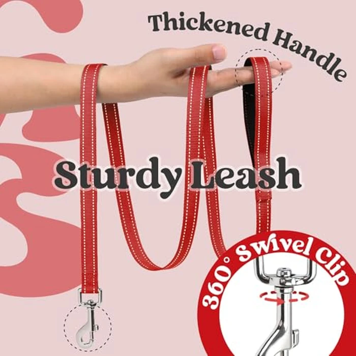 rabbitgoo Dog Harness Small Sized and Leash Set, Step-in Breathable Pet Harness, Soft Walking Reflective Puppy Vest for Small Dogs, Black & Red, M by rabbitgoo - Image 7