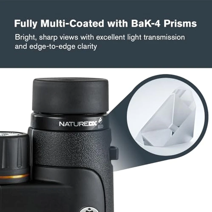 Celestron - Nature DX ED 8x42 Premium Binoculars - Extra-Low Dispersion Objective Lenses - Outdoor and Birding Binocular - Fully Multi-Coated with BaK-4 Prisms - Rubber Armored, Fogproof, Waterproof by Celestron - Image 4
