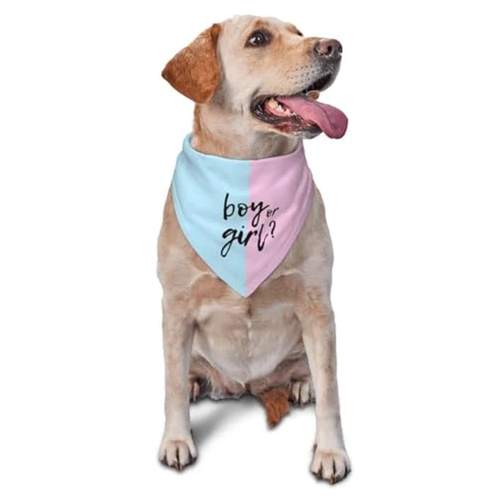 vercosee He Or She What Will It Be? Gender Reveal/Baby Announcement Dog Bandana,Pet Neckerchief for Pets Daily Wear Photo Prop Party Supplies (Pink/Blue) by vercosee - Used - Like New condition - US$8.64