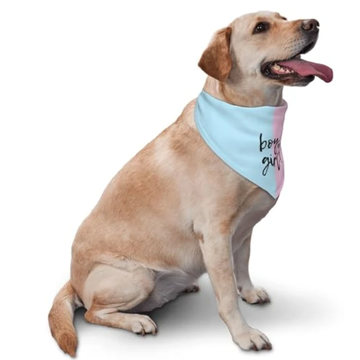 vercosee He Or She What Will It Be? Gender Reveal/Baby Announcement Dog Bandana,Pet Neckerchief for Pets Daily Wear Photo Prop Party Supplies (Pink/Blue) by vercosee - Image 2