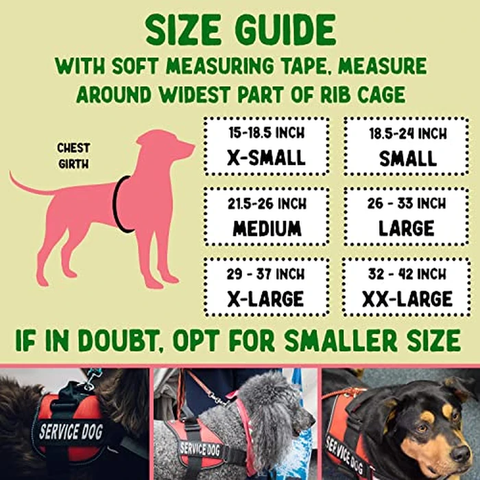 Service Dog Vest + ID Tag + 50 ADA Information Cards - Service Dog Harness w Patch in Sizes X Small to XX Large, Metal Dog Tag has Durable Clip, Service Animal Information Cards. ESA Accessory Set by Pelto - Image 2