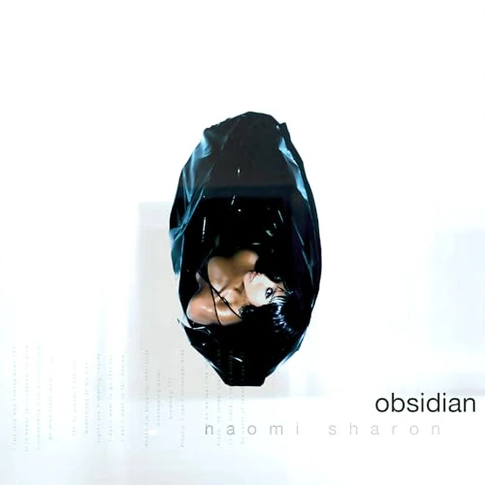Obsidian (Vinyl) by SONY MUSIC CANADA ENTERTAINMENT INC. - Used - Acceptable condition - CA$25.06