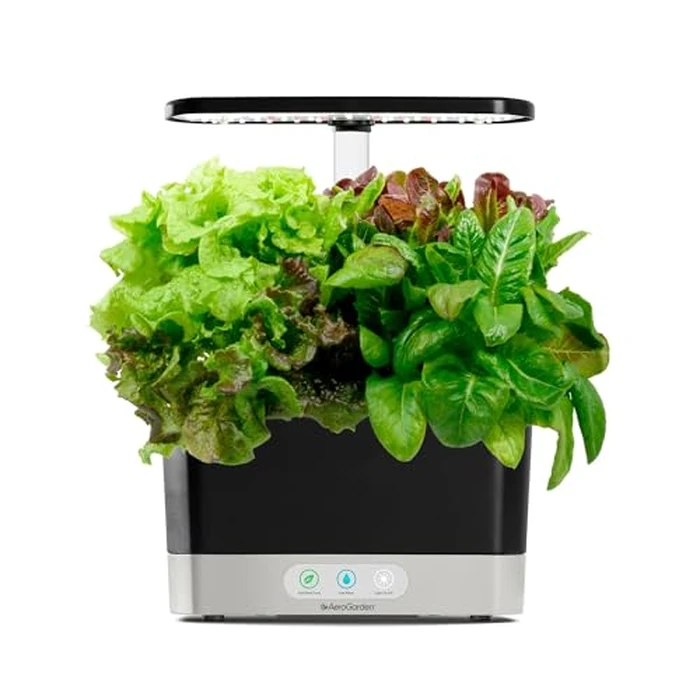 AeroGarden Heirloom Salad Greens Mix Seed pod Kit with Pre-Seeded Grow pods, Liquid Plant Food, and Growing Guide, 6-Pod by AeroGarden - Image 4