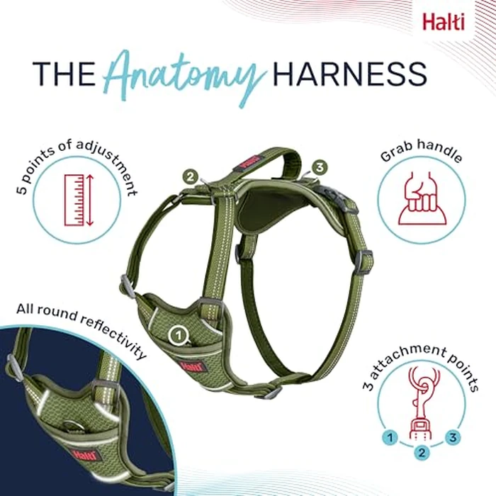 Halti Anatomy Dog Harness with Handle - Padded, Adjustable & Reflective No Pull Dog Harness, 3 Leash Attachment Points Including Front Clip, Suitable for Small Dogs (Size XS, Green) by Coachi - Image 3