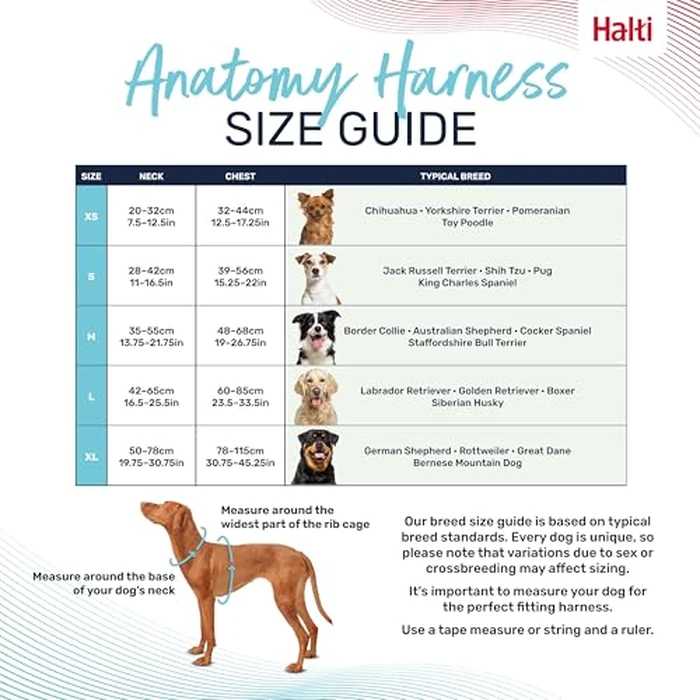 Halti Anatomy Dog Harness with Handle - Padded, Adjustable & Reflective No Pull Dog Harness, 3 Leash Attachment Points Including Front Clip, Suitable for Small Dogs (Size XS, Green) by Coachi - Image 4