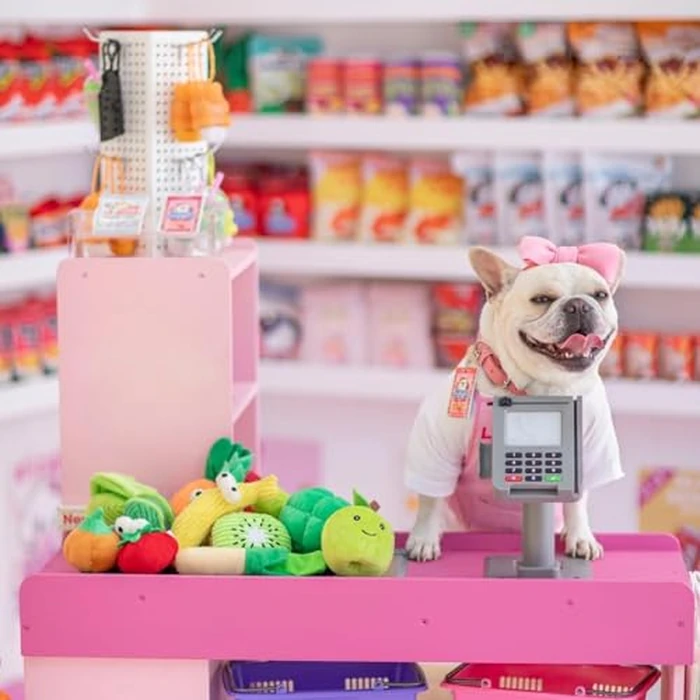 Nocciola Squeaky Fruits Veggies Stuffed Dog Toys Pack- Hide Seek Grocery Basket Crinkle Plush Puppy Toys to Keep Busy, Birthday Pet Supplies Gifts for Small Medium Breeds by Nocciola - Image 2