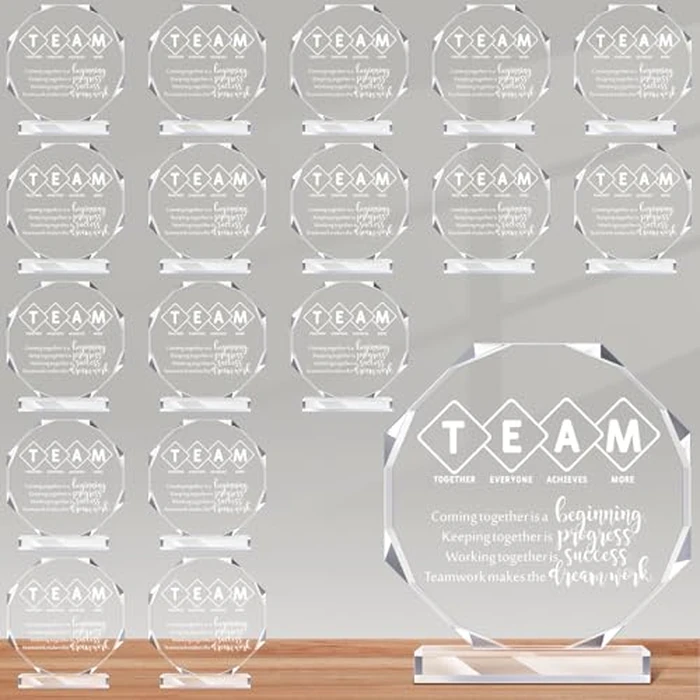 Sintuff 18 Pcs Team Gifts for Employees Thank You Bulk Gifts Coworker Acrylic Plaques Appreciation Gifts Trophy Team Farewell Gift for Women Men Teachers Nurses Staff by Sintuff - Image 1