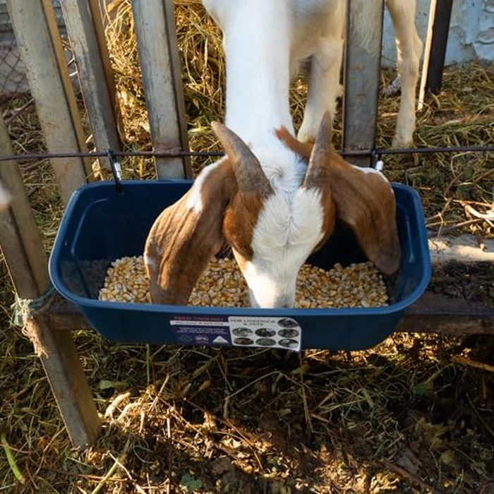 Goovilla Large Feed Trough, Hanging or Screw-in Fence Feeder with Clips, 2 Pack 9 Quart Goat Feeding Supplies, Dog Horse Hog Pig Livestock Poultry Plastic Feeder Trough Bucket for Large Animal, Blue by Goovilla - Image 5