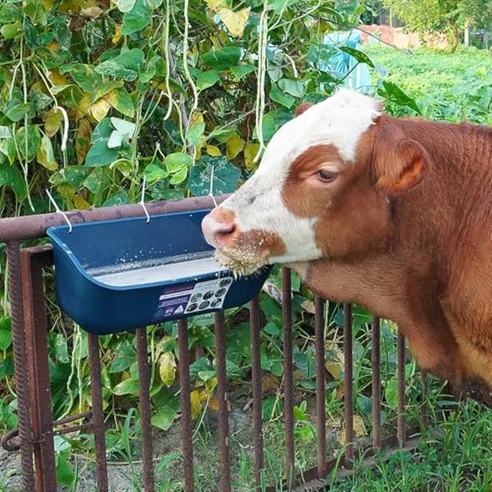 Goovilla Large Feed Trough, Hanging or Screw-in Fence Feeder with Clips, 2 Pack 9 Quart Goat Feeding Supplies, Dog Horse Hog Pig Livestock Poultry Plastic Feeder Trough Bucket for Large Animal, Blue by Goovilla - Image 7