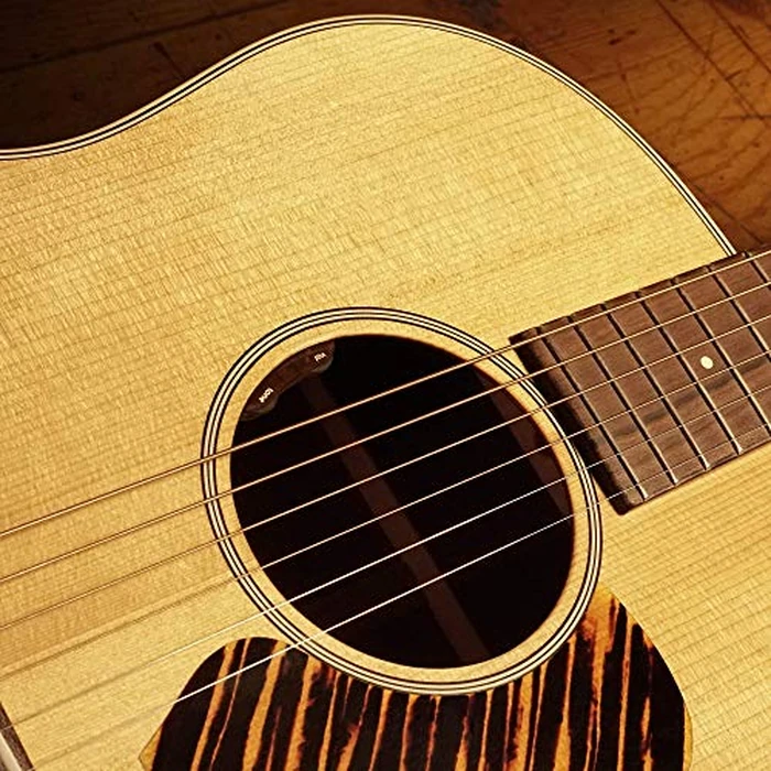 L.R. Baggs Element Active System with Volume and Tone Control Acoustic Guitar Undersaddle Pickup by LR Baggs - Image 2