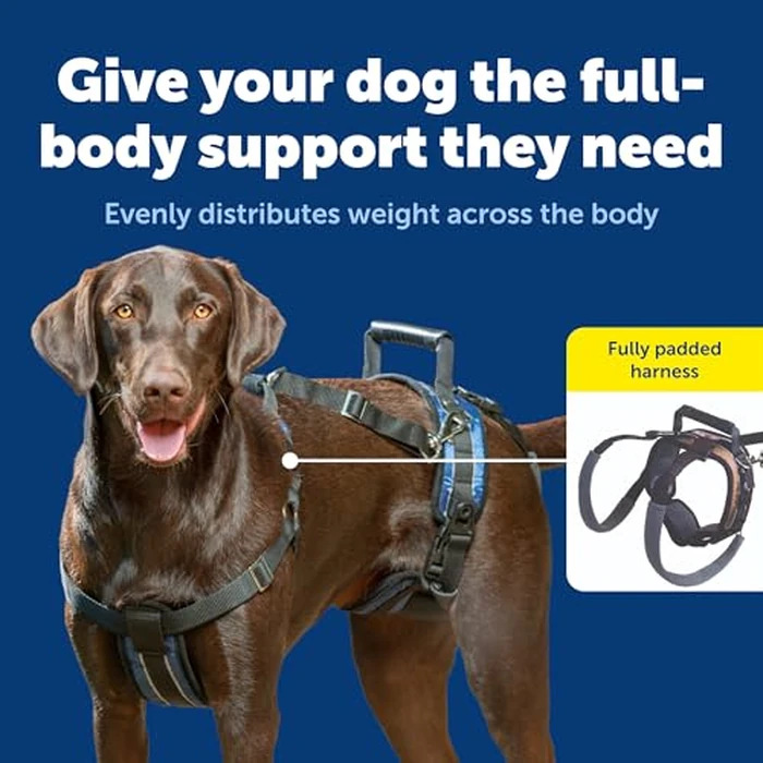 PetSafe CareLift Lifting Aid Harness for Dogs - Full Front and Back - Large by PetSafe - Image 3