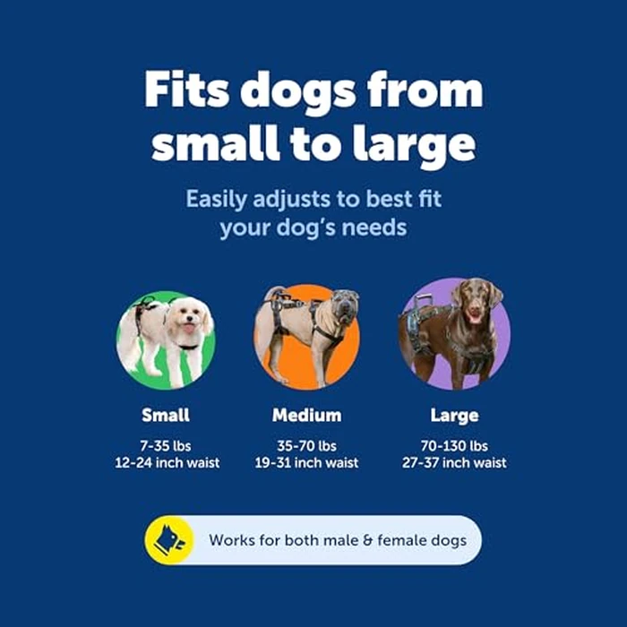 PetSafe CareLift Lifting Aid Harness for Dogs - Full Front and Back - Large by PetSafe - Image 5