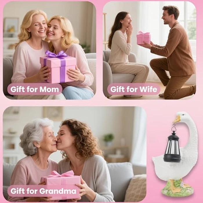 DiliComing Solar Porch Goose Statue - Outdoor Garden Decor Resin Goose Statues for Yard Lawn Patio Unique Gift Mom Grandma Women by DiliComing - Image 8