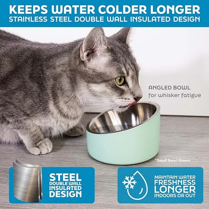 Master Pet Supply Stainless Steel Slanted Dog Cat Food Bowl - 16 oz Heavy Duty - Bone White, Double Wall Insulated, Non-Slip Elevated Bowl for French Bulldogs Pugs Cats, Anti Rust Dishwasher Safe by Master Pet Supply - Image 4