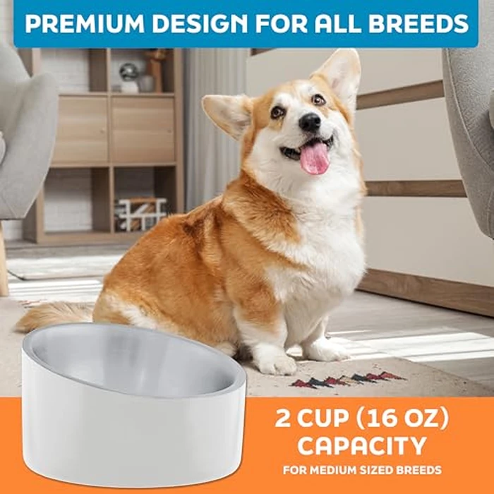 Master Pet Supply Stainless Steel Slanted Dog Cat Food Bowl - 16 oz Heavy Duty - Bone White, Double Wall Insulated, Non-Slip Elevated Bowl for French Bulldogs Pugs Cats, Anti Rust Dishwasher Safe by Master Pet Supply - Image 7