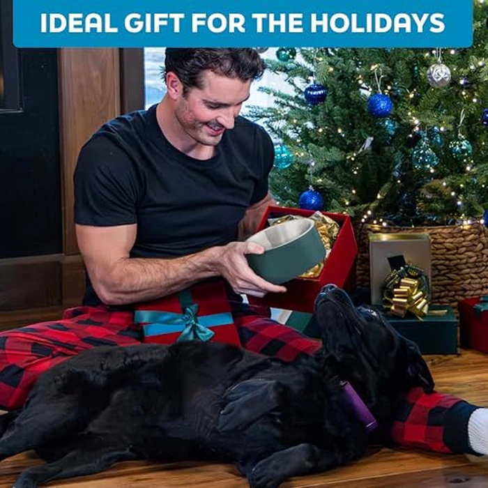 Master Pet Supply Stainless Steel Slanted Dog Cat Food Bowl - 16 oz Heavy Duty - Bone White, Double Wall Insulated, Non-Slip Elevated Bowl for French Bulldogs Pugs Cats, Anti Rust Dishwasher Safe by Master Pet Supply - Image 8