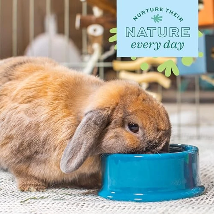 Oxbow Enriched Life Dripless Water Bottle, Guinea Pig Water Bottle, Rabbit Water Bottle, Essential Small Pet Accessory for Guinea Pig Cages & Rabbit Cage, Bunny Supplies, 15oz / 450ml by Oxbow - Image 5