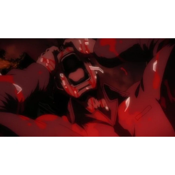 Hellsing Ultimate: Volumes 5-8 Collection (Blu-ray/DVD Combo) by Funimation - Image 5