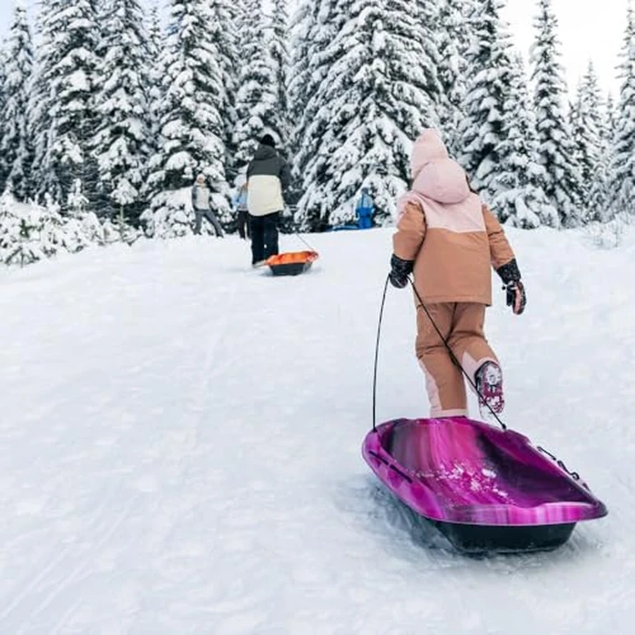 Pelican Nomad 40 Sled - 4 Season Sled - Any Outdoors Activities - Carry Up to 90 lb - Stardust by Pelican - Image 2