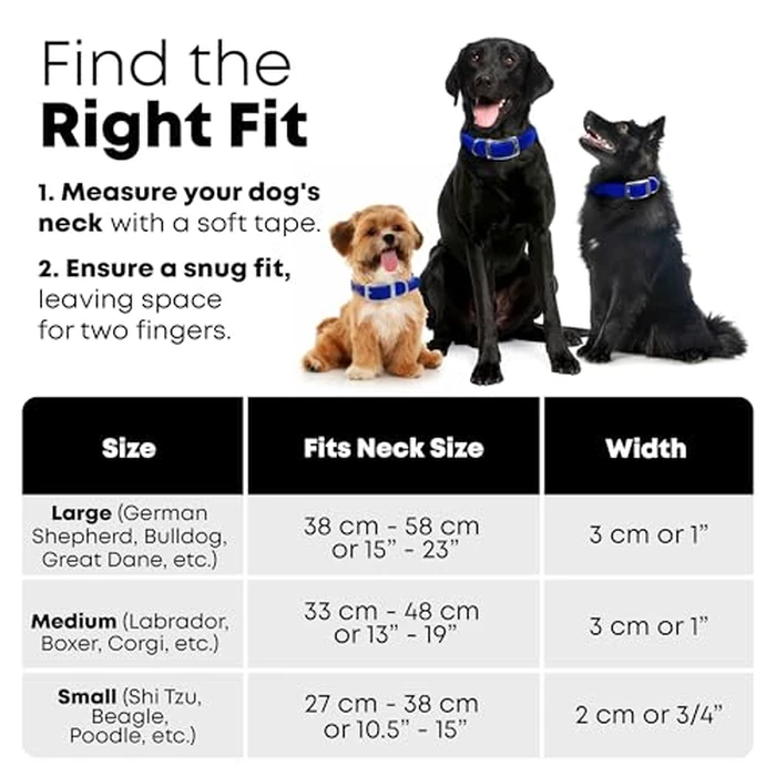 Regal Dog Products Small Blue Waterproof Dog Collar and Leash Set | Heavy Duty Double Buckle & D Ring - 5'ft Leash | Adjustable Biothane Dog Collar | Chew Resistant Waterproof Collar for Dogs by Regal Dog Products - Image 2