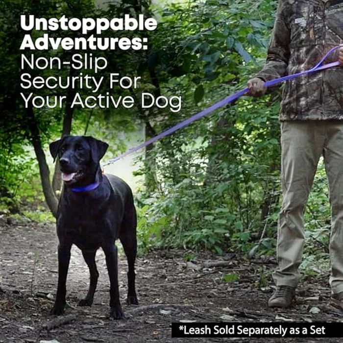 Regal Dog Products Small Blue Waterproof Dog Collar and Leash Set | Heavy Duty Double Buckle & D Ring - 5'ft Leash | Adjustable Biothane Dog Collar | Chew Resistant Waterproof Collar for Dogs by Regal Dog Products - Image 5