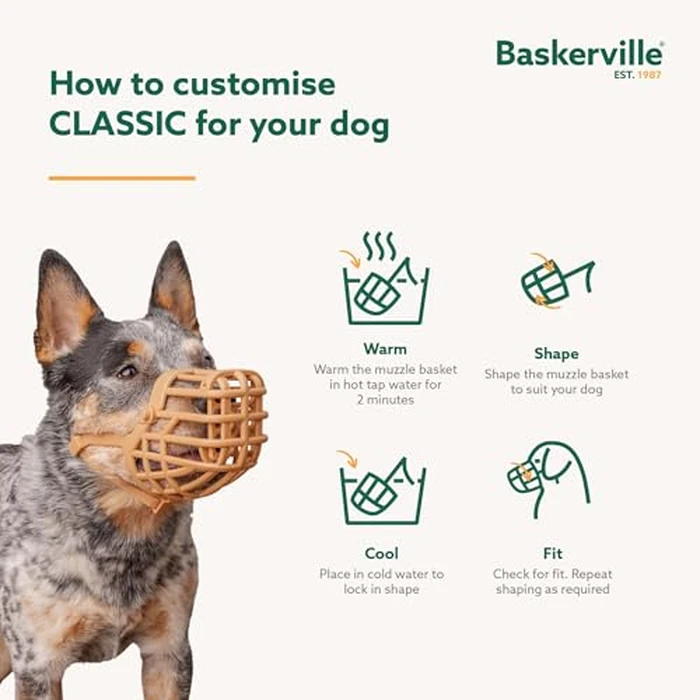 Baskerville Classic Basket Muzzle - Dog can Pant and Drink, Prevents Biting and Food Waste Scavenging, Strong TPR, Ideal for Longer Nosed Dogs, Breathable Dog Training Muzzle for Medium Dogs (Size 4) by Baskerville - Image 6