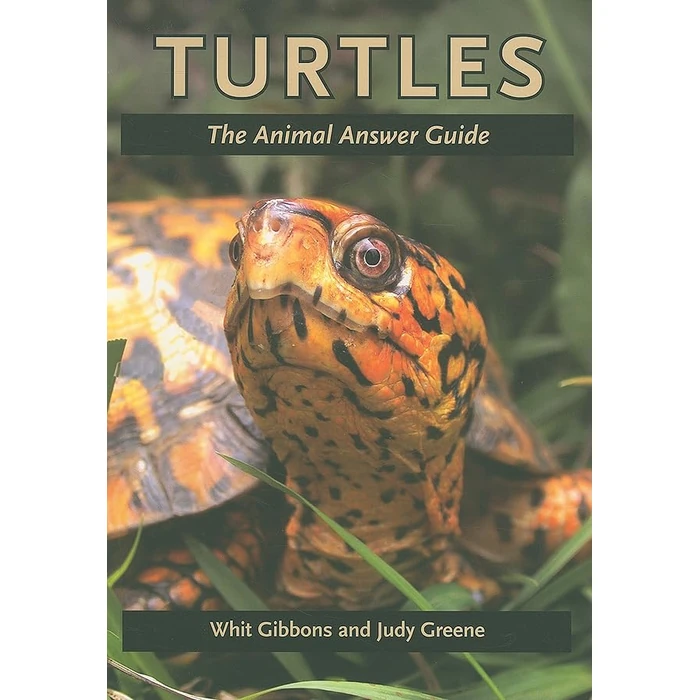 Turtles: The Animal Answer Guide (The Animal Answer Guides: Q&A for the Curious Naturalist) by Johns Hopkins University Press - Used - Good condition - US$2.24