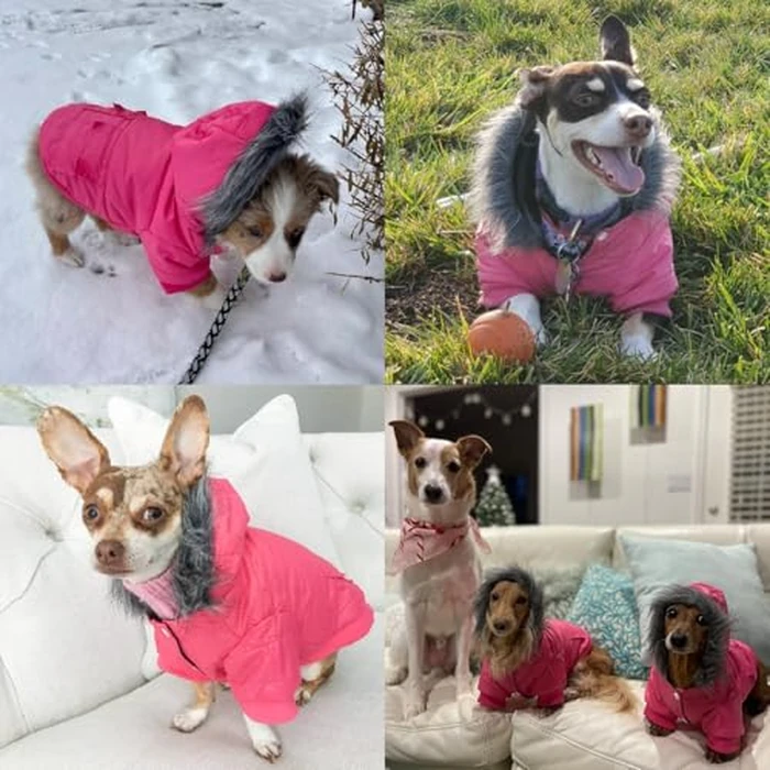 LESYPET Dog Coat for Small Dogs, Windproof Doggie Puffer Jacket with Leash Hole, Extra Warm Dog Jacket Winter Coat, Pink L by LESYPET - Image 6