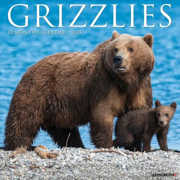 Grizzlies 2025 12" x 12" Wall Calendar by WILLOW CREEK - Image 2